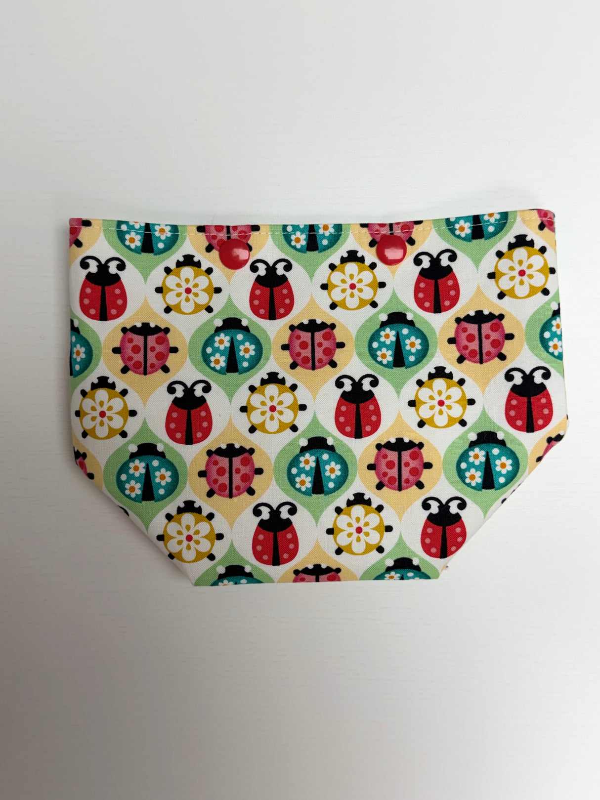 Bailey Bag - Project Bag