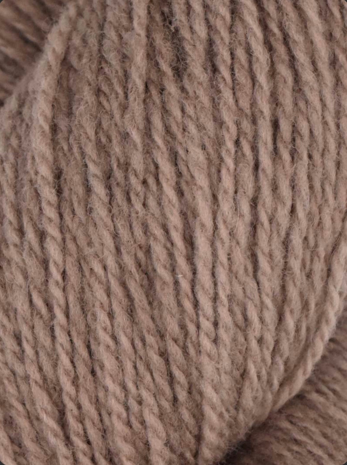 Patagonia Organic Merino