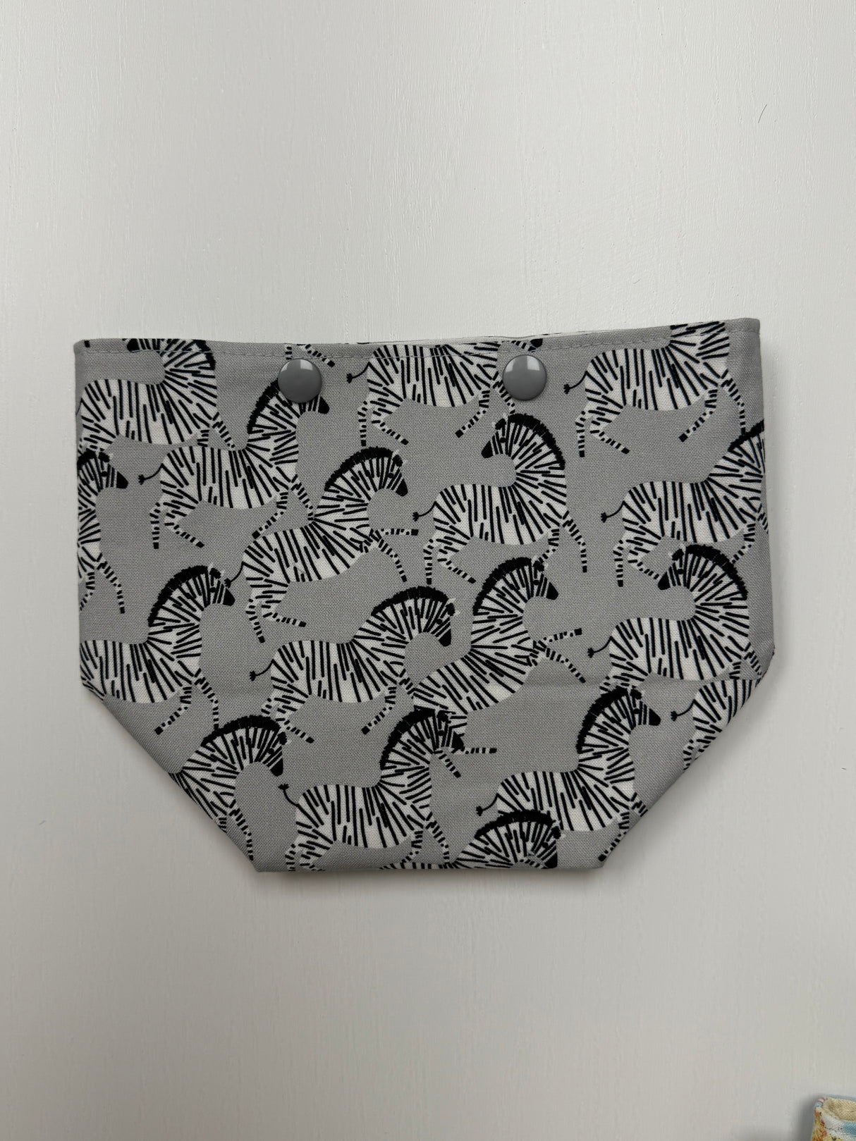 Bailey Bag - Project Bag