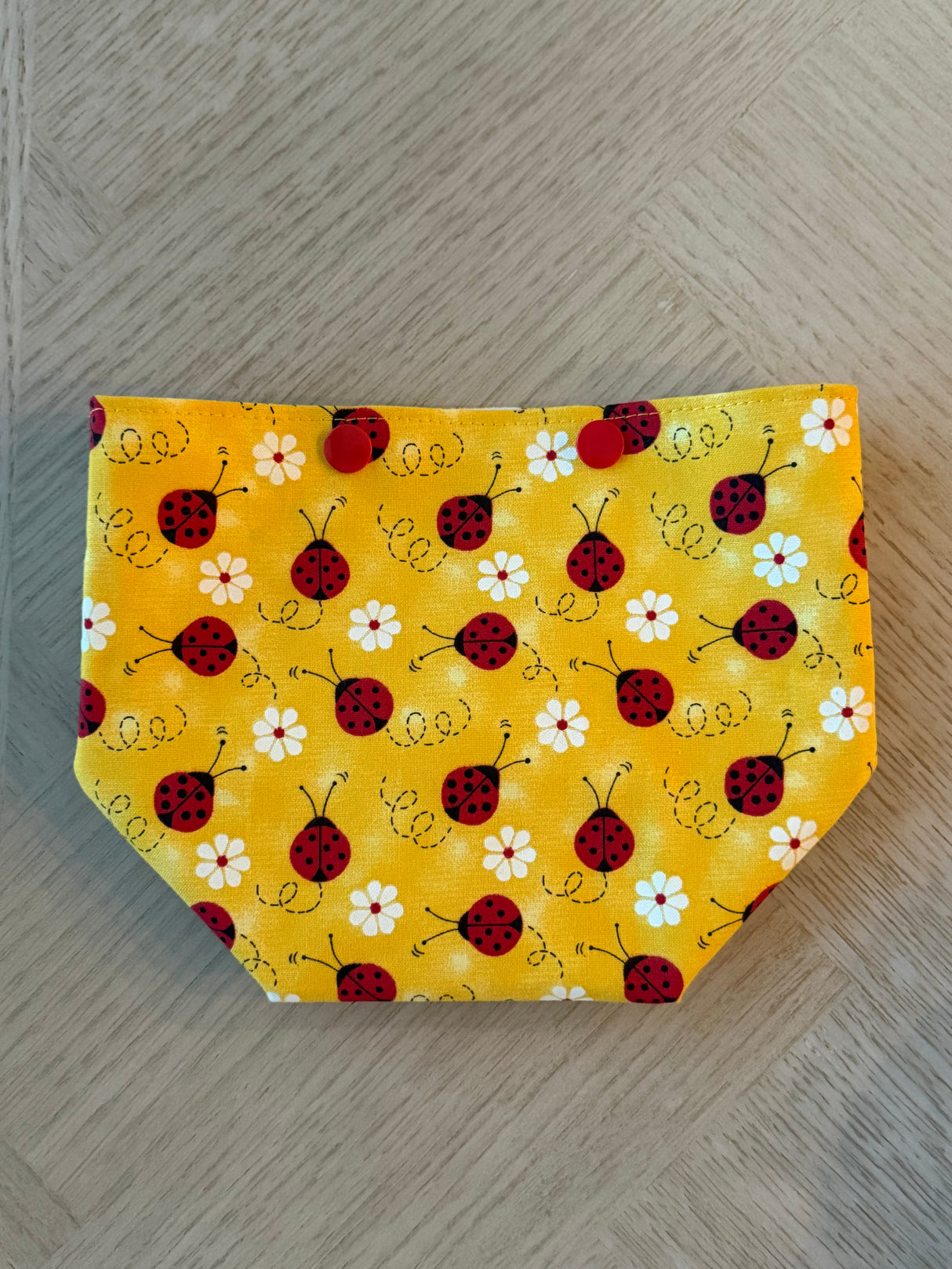 Bailey Bag - Project Bag