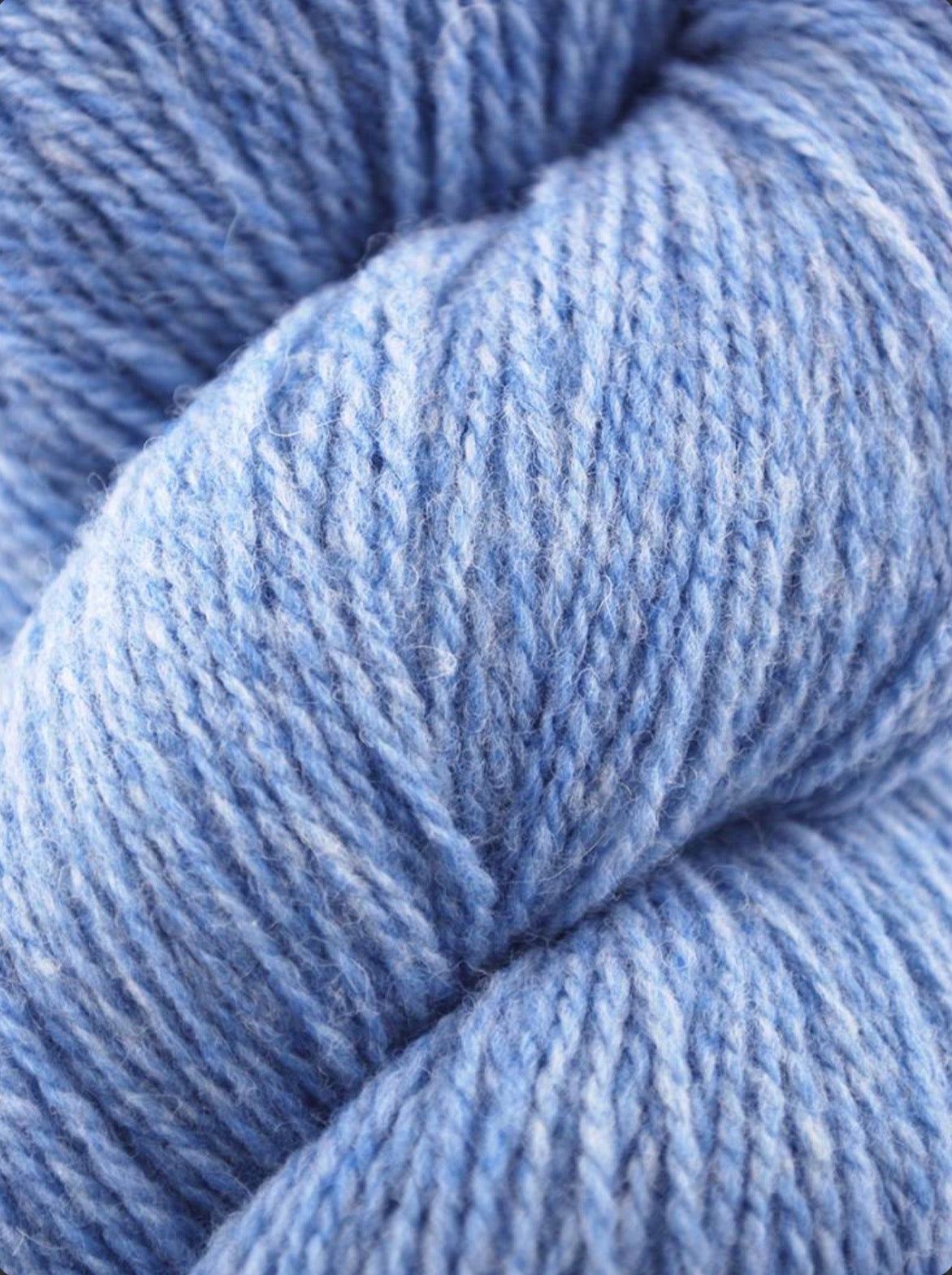 Patagonia Organic Merino