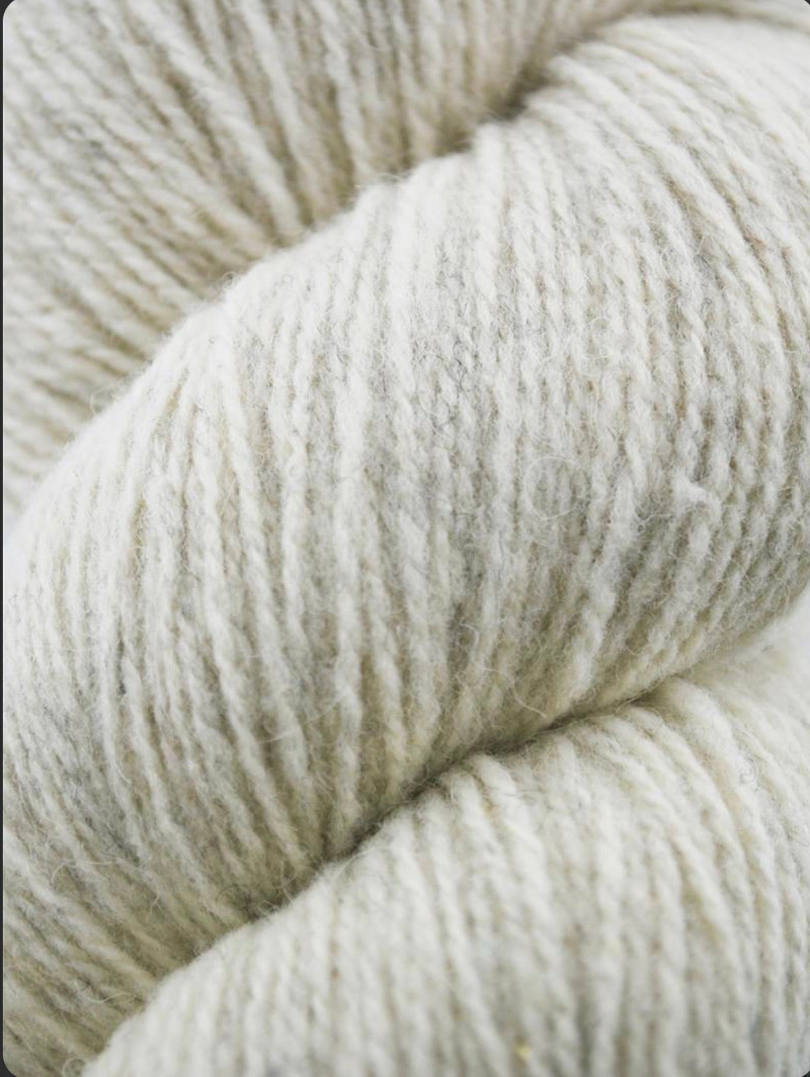Patagonia Organic Merino