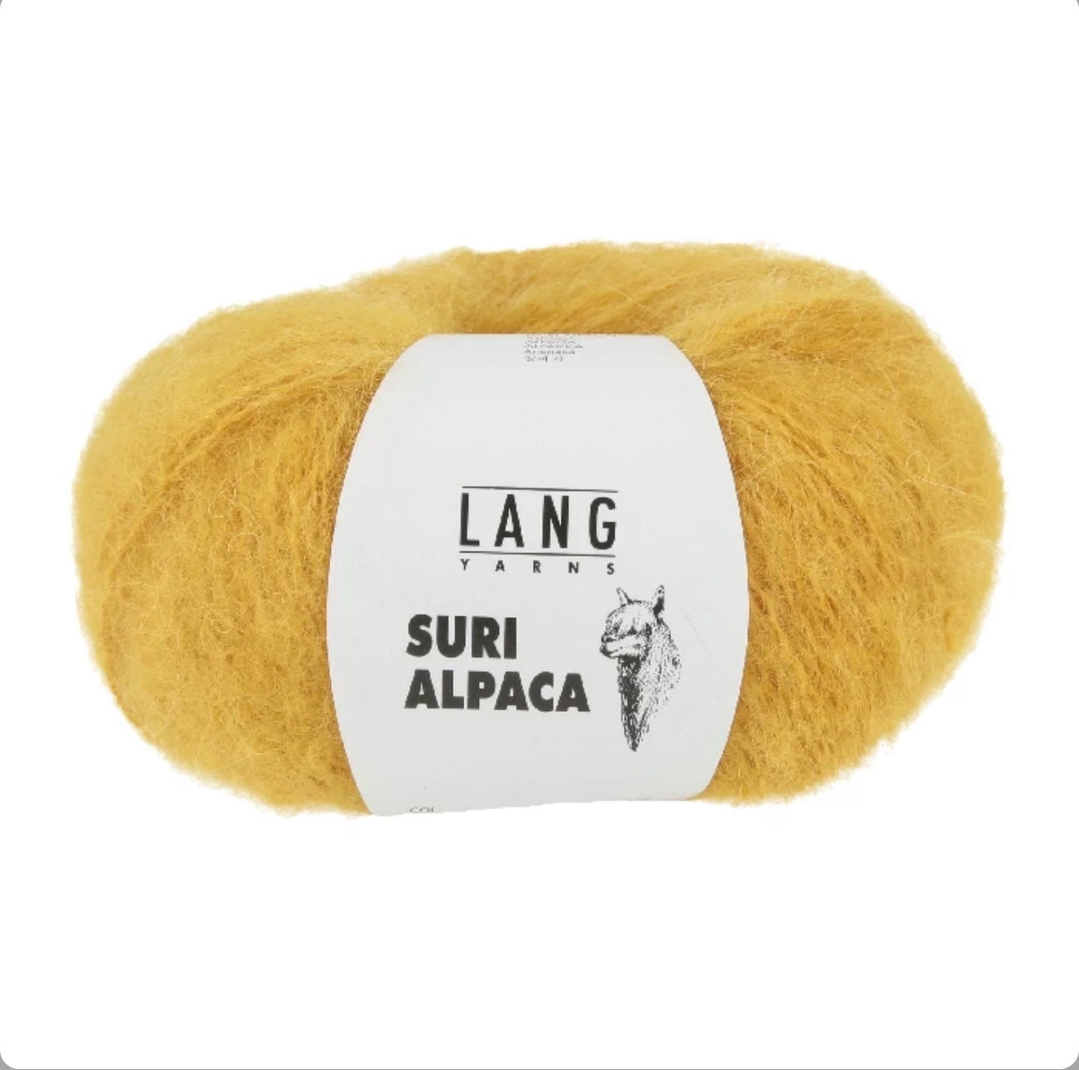 Suri Alpaca