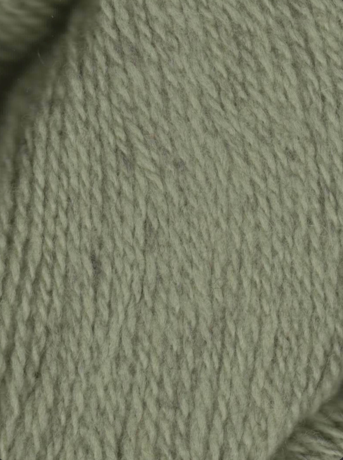Patagonia Organic Merino