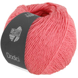 Dodici