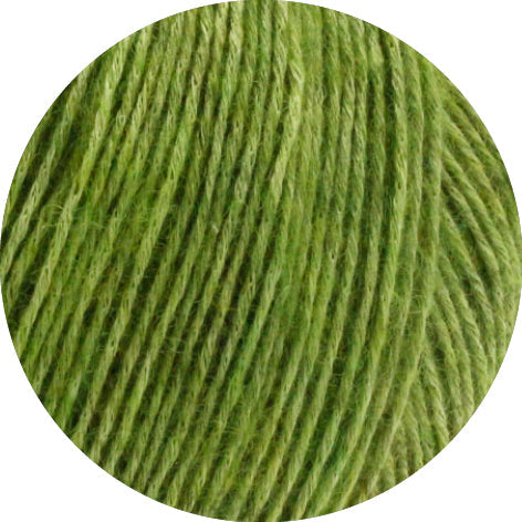 ECOPUNO