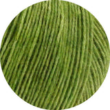 ECOPUNO